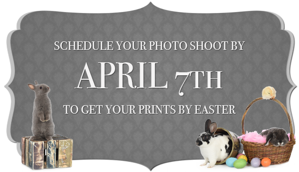 Schedule your Photo Shoot by April 7th