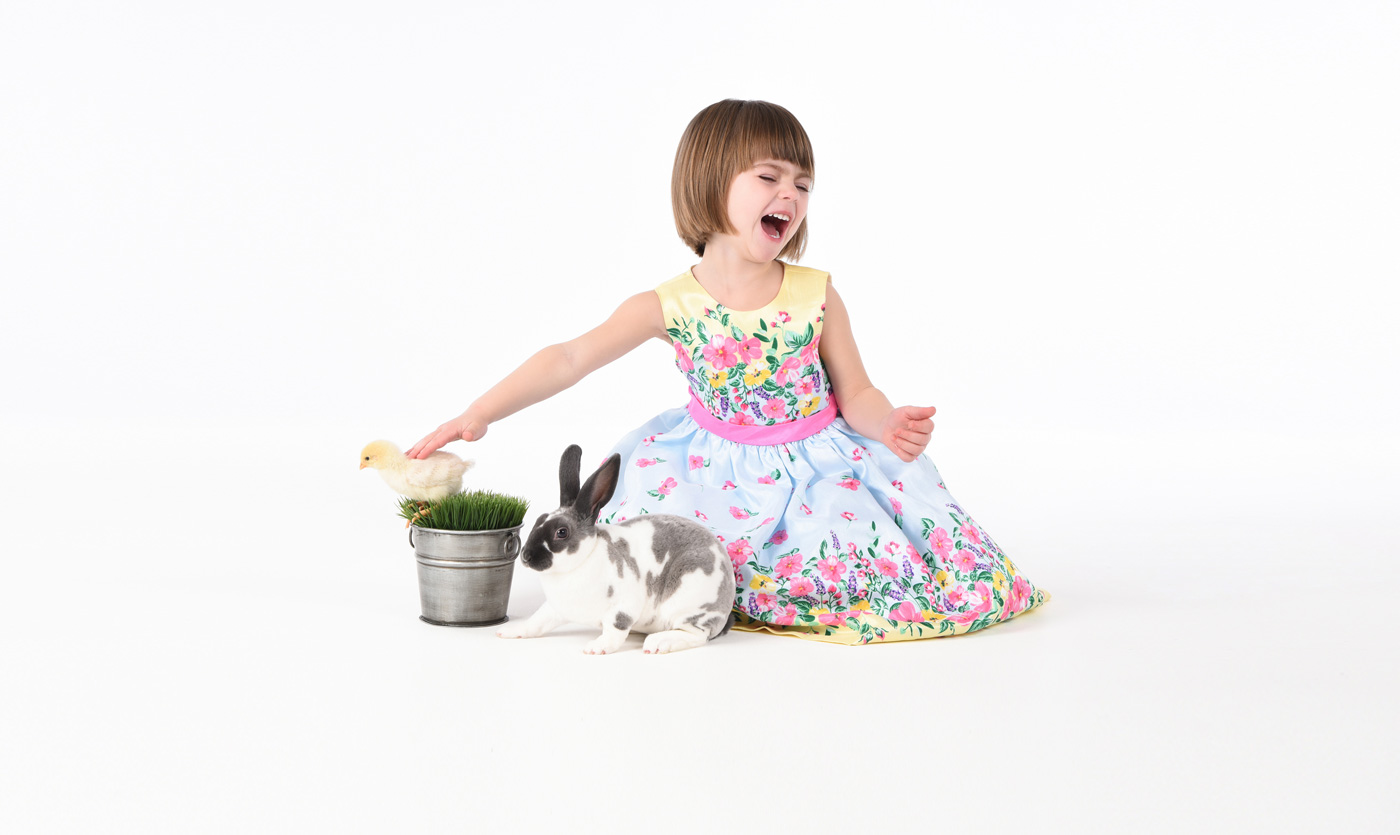 Live Bunnies and Baby Chicks Portrait Session